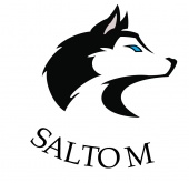 SaltoM logo