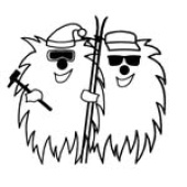 yeti ski servis logo